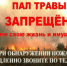 Пал сухой травы - преступление! - Малопургинский район