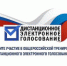 21 апреля стартовал прием заявлений на участие в тестировании системы дистанционного электронного голосования - Малопургинский район